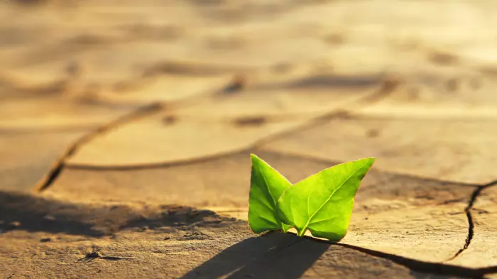 Why govt wrote off funds' climate reports