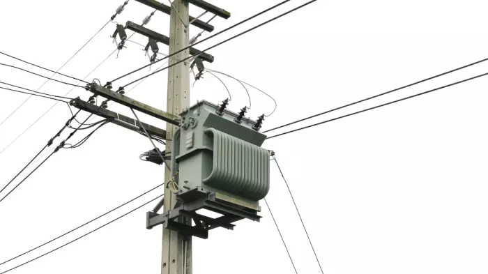 Buller Electricity fights massive transmission fees increase in court