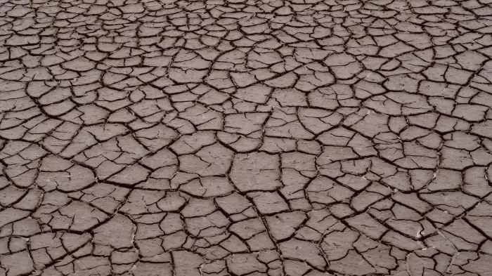 The heat is on, and farmers have a new tool to help track it