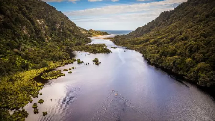 How to stop NZ failing