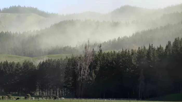 October rush for on-farm forest plantings
