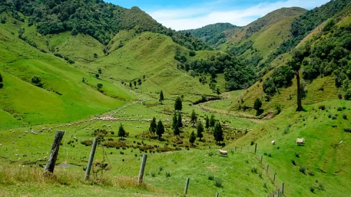 Time to ditch foreign forestry exemption