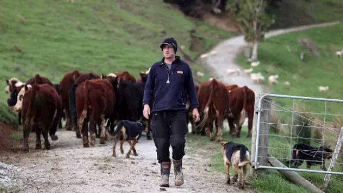 Farmers aren't jumping for joy, according to latest confidence survey