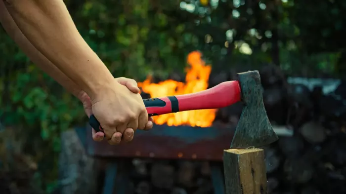 Business of Government, caretaker edition, starring Winston Peters, and more …