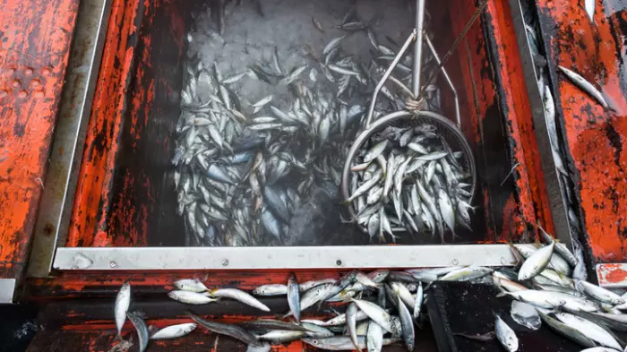 $52m of forfeited fishing boats quickly returned to service