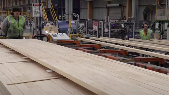 Wood first policy under fire as Nash expands forestry mandate