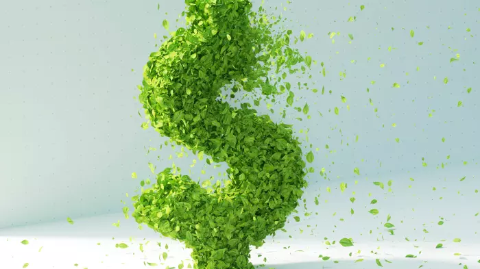 Australian power company sued over 'misleading' carbon-neutral claims