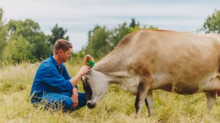 Happy Cow Milk paving the way to profitability