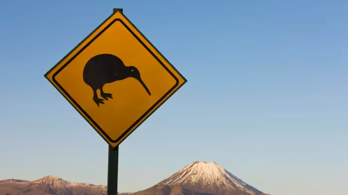 NZ dollar flying high