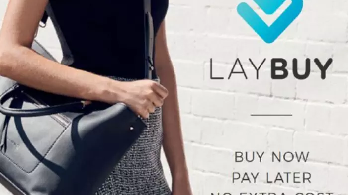 Laybuy put into receivership