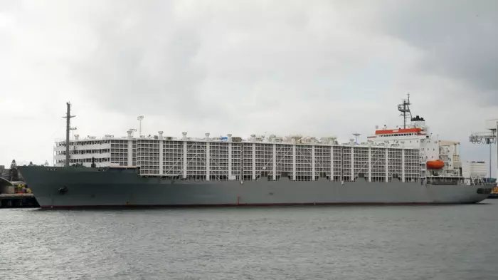 No smooth sailing for live exports ban