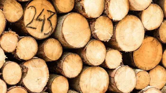Log prices spurring recovery in regional NZ