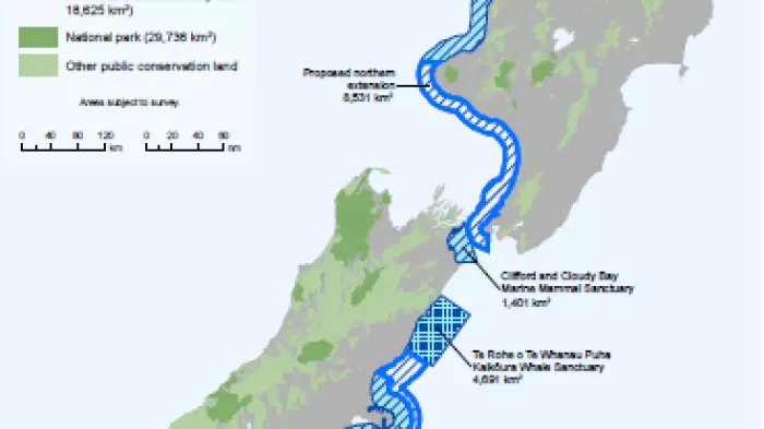 Oil, gas permits exempted from Maui dolphin protections