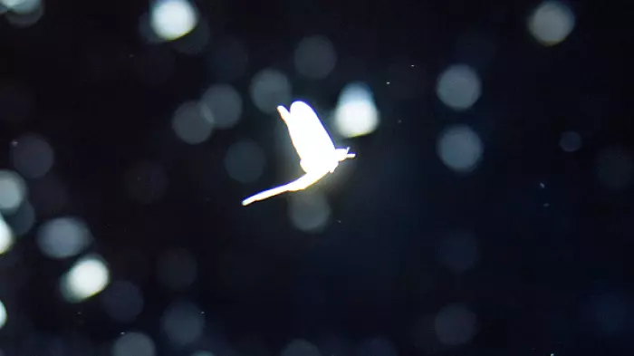 Asleep at the wheel: the KiwiSaver GST flip-flop