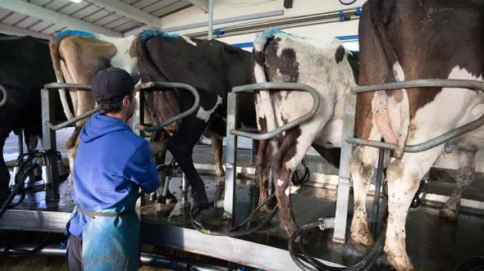 Fonterra's declining milk supply labelled ‘a real threat’