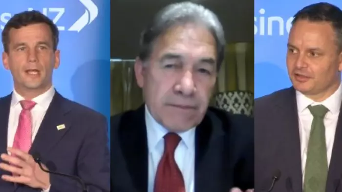 ELECTION 2020: ‘Don’t stuff the country’ – minor leaders make their pitch