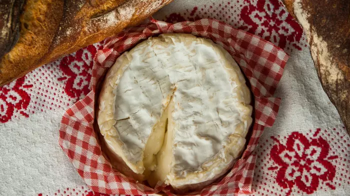 Get cultured - what you need to know about the seven types of cheese