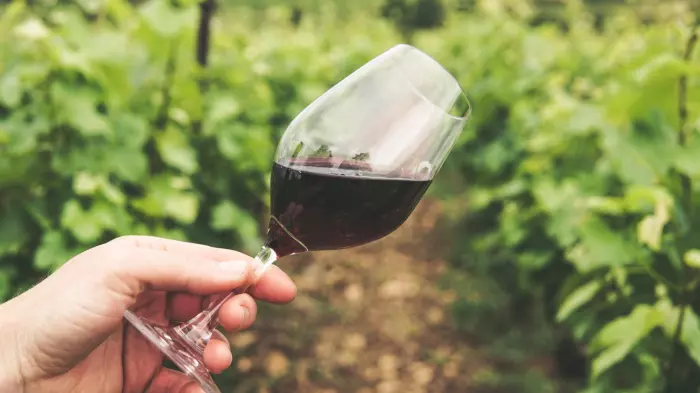 Your top ten wine questions answered