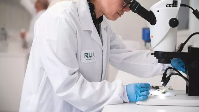 Cannabis firm Rua Bioscience targets October NZX listing