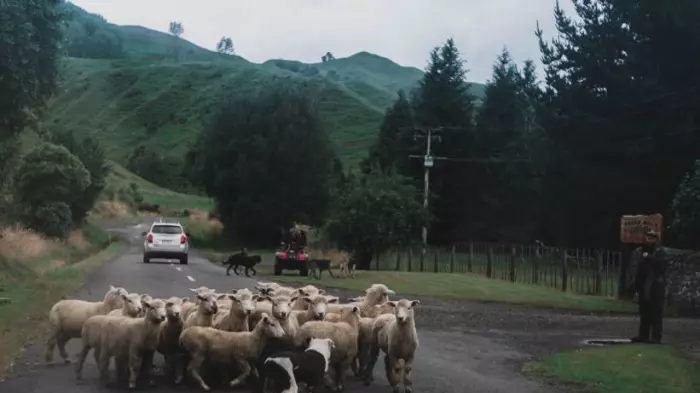 How allied are these farmers?