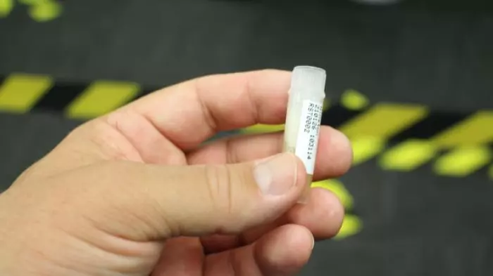 Auckland Airport trialling ‘incredibly accurate’ saliva covid test