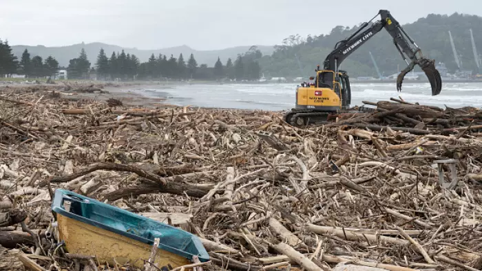 Govt provides $10 million for slash clean up