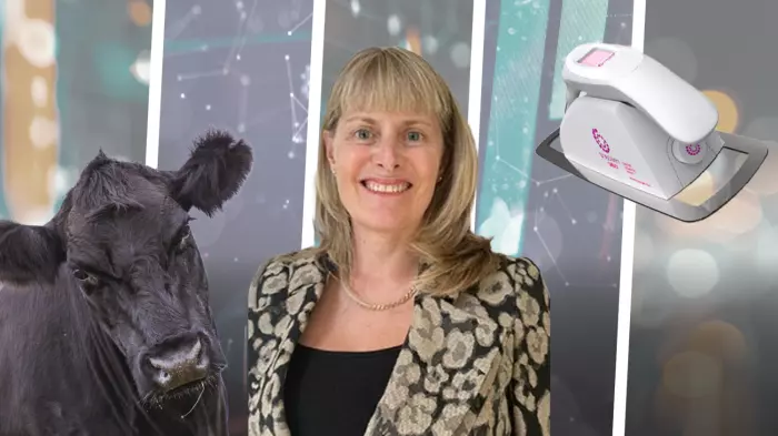 From banking to boardrooms: director Shelley Ruha
