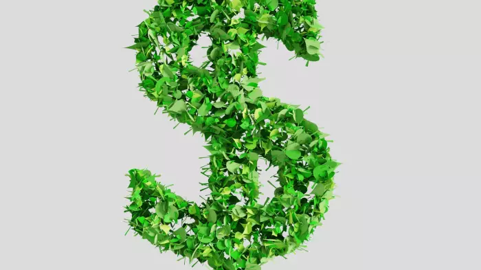 Surviving the sustainable finance space