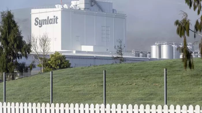 What's happening with Synlait today