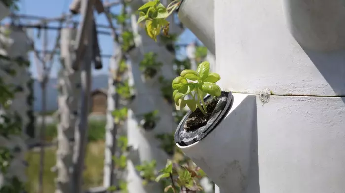 Can a city feed itself?