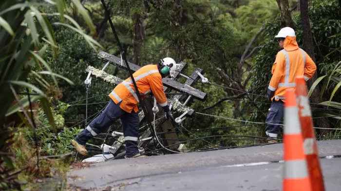 Tree regs reviewed in wake of cyclone havoc