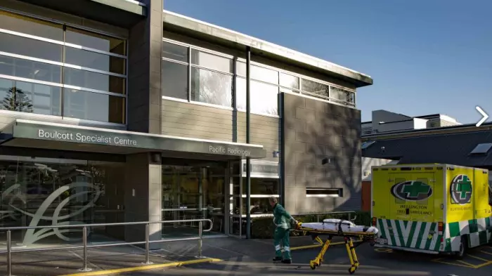 Big non-aligned vote against new chair of Vital Healthcare's manager