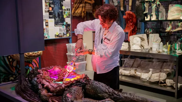 The business of fun: themed entertainment
