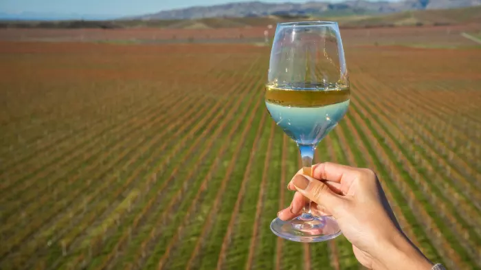 Wine sector has harvest windfall, faces pricing pressures
