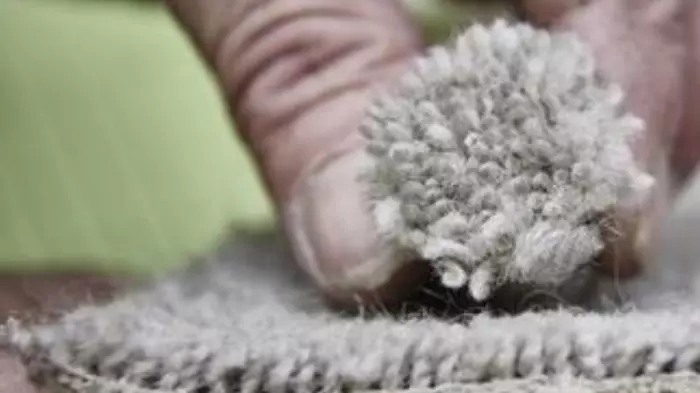 Kāinga Ora picks new carpet provider