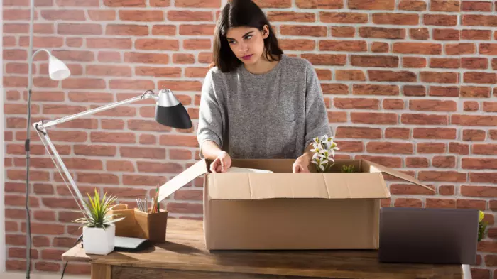 Large company layoffs in NZ, businesses look to India