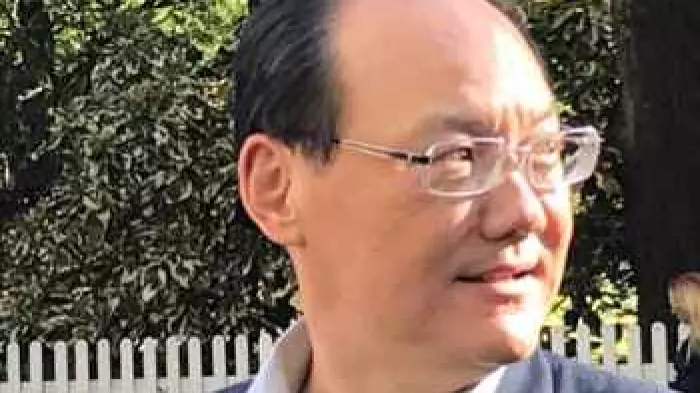 No point bankrupting Mainzeal's Yan, court told