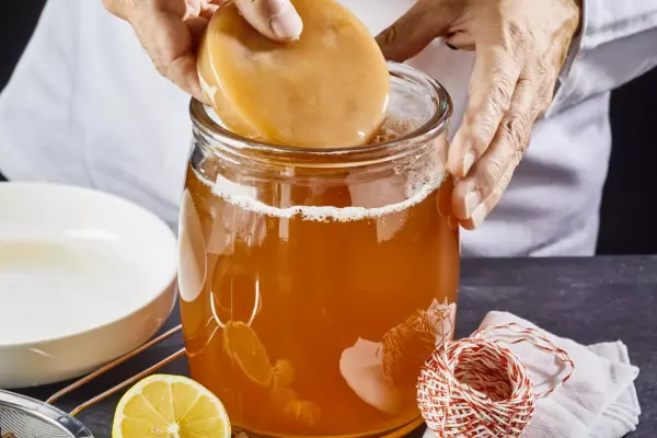Kombucha's slimy scoby could help clean up NZ’s rivers