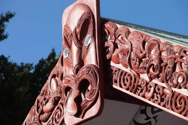 Māori tertiary institution pulls out of startup programme