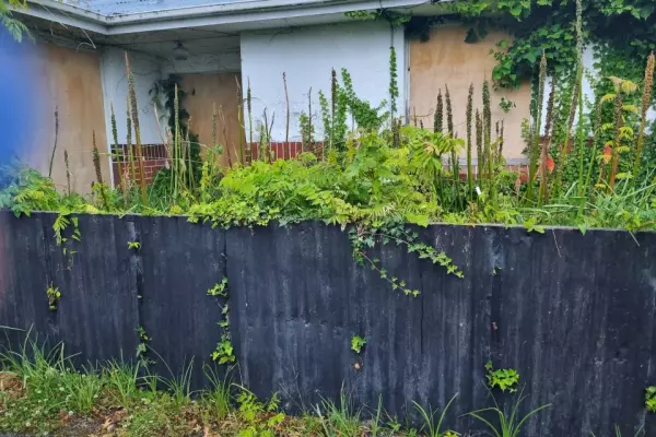 Kāinga Ora properties sit derelict while reviews continue