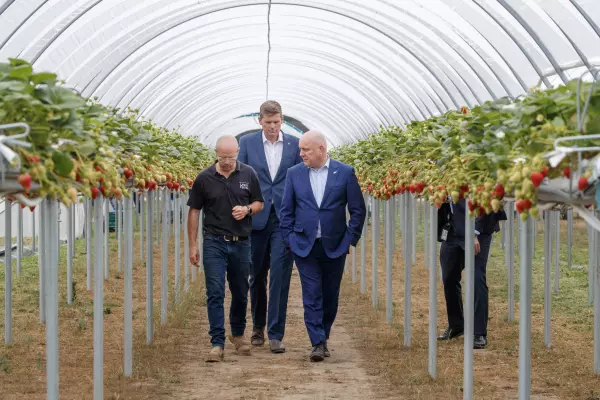 Corporates think NZ 's on the up: Forsyth Barr