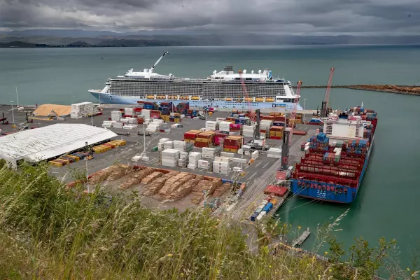 Napier Port profits up 50% as headwinds ease