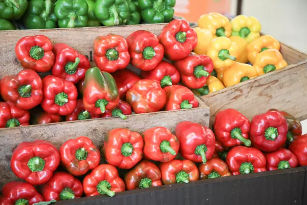 Market Gardeners Group celebrates 100 years