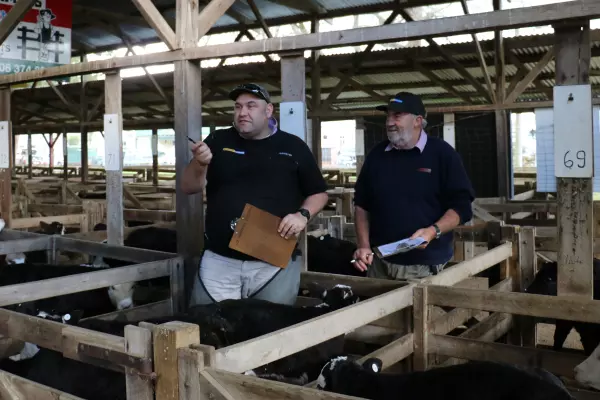 Allied Farmers shareholders back sale of NZ Farmers Livestock