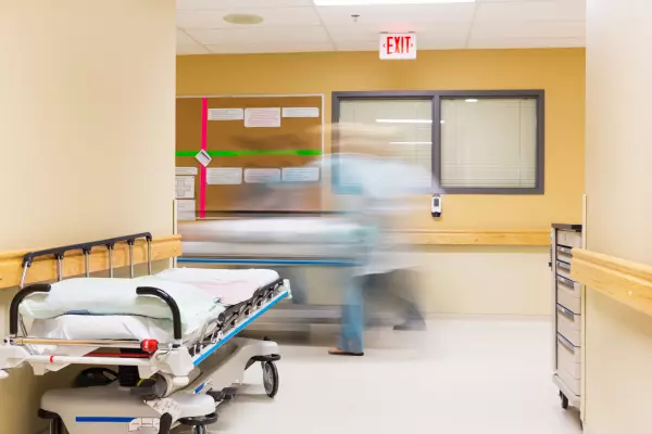 Health NZ weighs AI tools as doctors see productivity gains