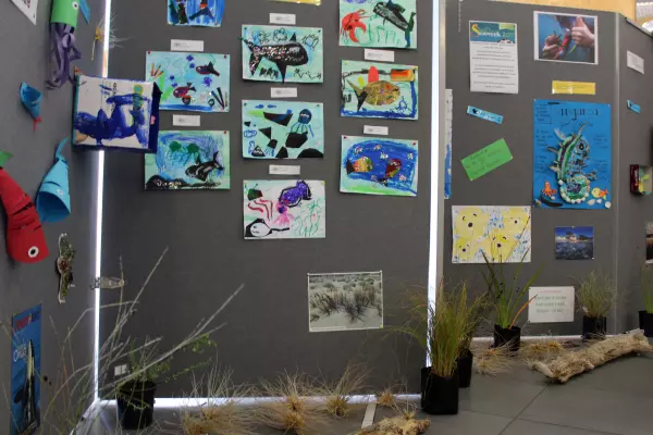 Auckland daycares in receivership as creditors close in
