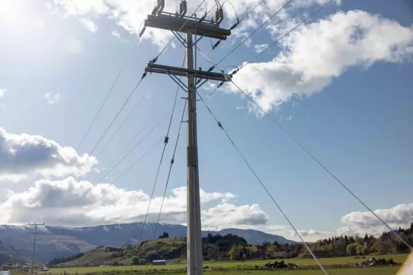Customised price path re-energises Otago lines company