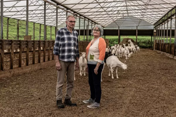 Northland dairy goat farmers’ ‘beautiful dream’ sours