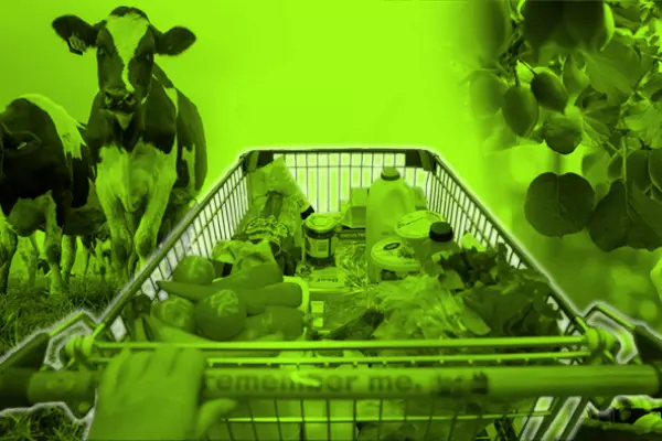 Business of Food: What we’ve learnt