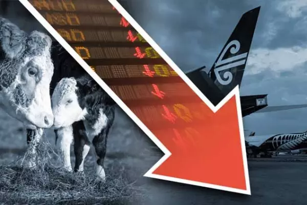 NZX50 Carbon Insight: What the data tells us
